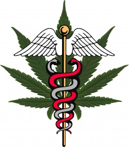 The Marijuana Conspiracy