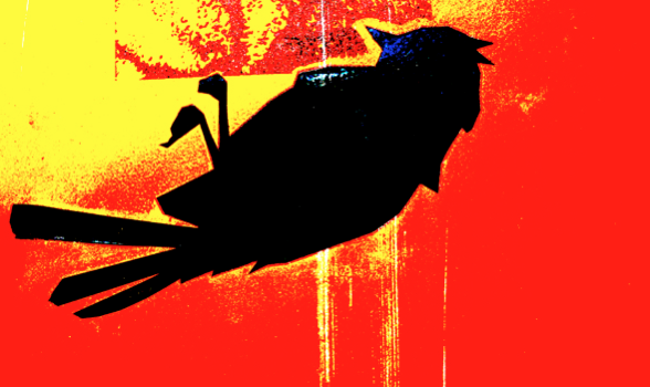 Scientific Facts Related to the Bird Deaths