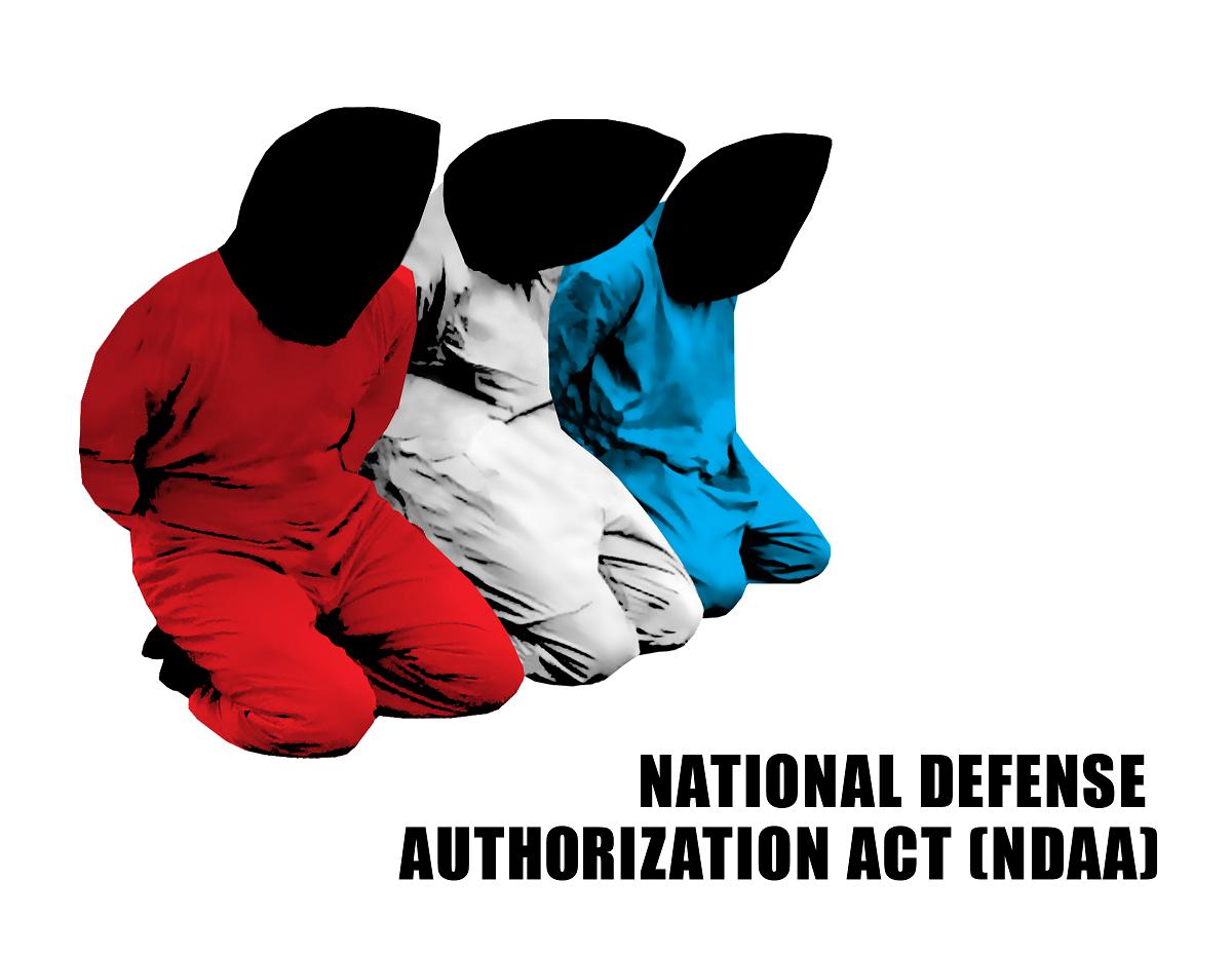 Chris Hedges of TruthDig Is Suing Obama Over The NDAA