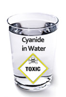 Cyanide in KZN water kills 50 cows: uThukela Water