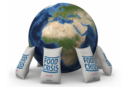 America The Food Crisis Is Coming