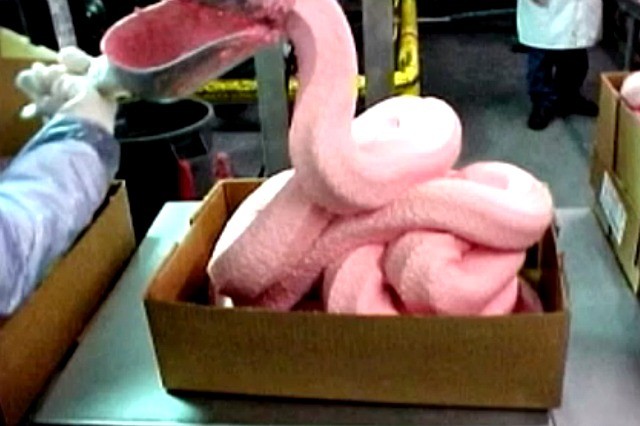 70 Percent of Ground Beef at Supermarkets Contains ‘Pink Slime’