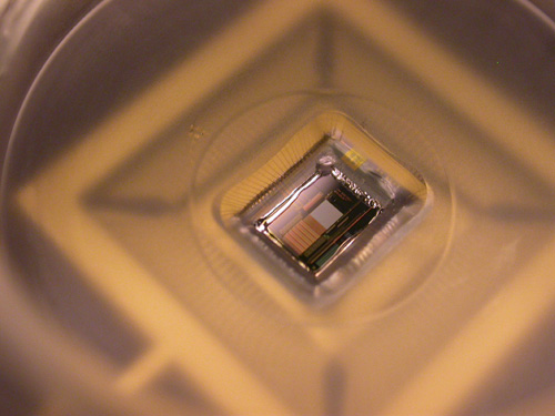 Something Worse Than The RFID Chip: The Soul Catcher Chip