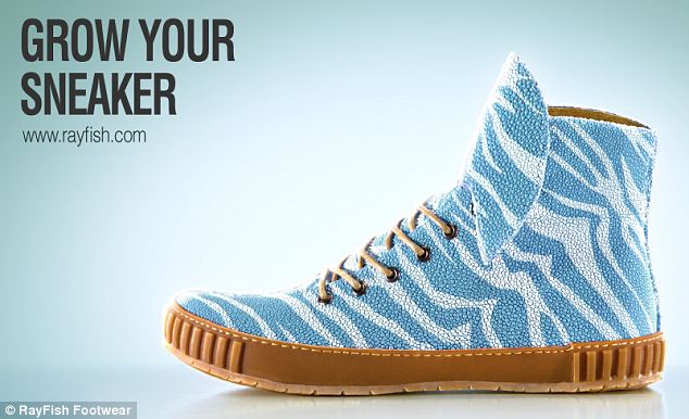 Designer Sneakers Made Of Custom Order Stingrays