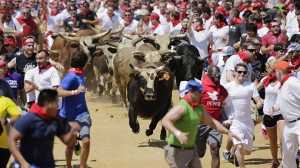 Participants run and dodge bulls in the Great Bull Run in Petersburg