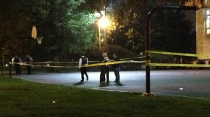 chicago-shooting-park-wounded.si