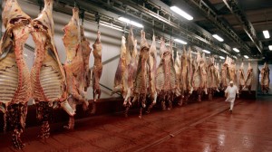 usda-inspection-meat-contamination.si