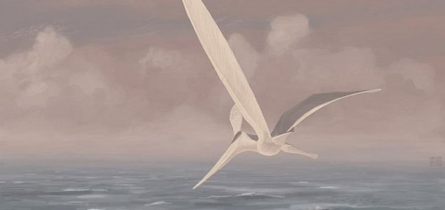 news-pterosaur