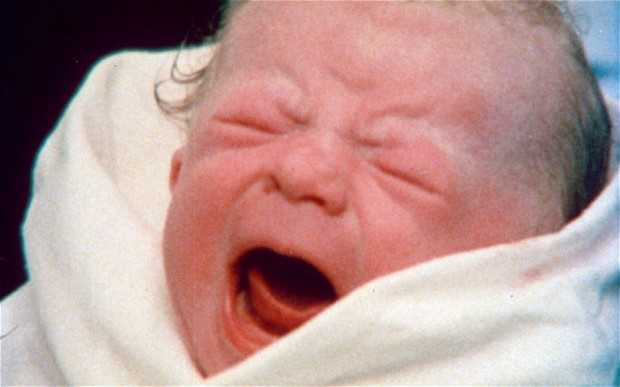 Human cloning ‘within 50 years’