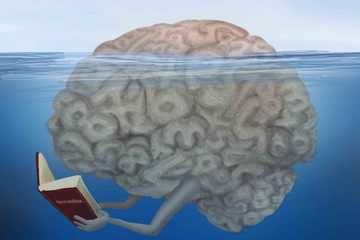 Brain Can Read and Write Without Full Consciousness
