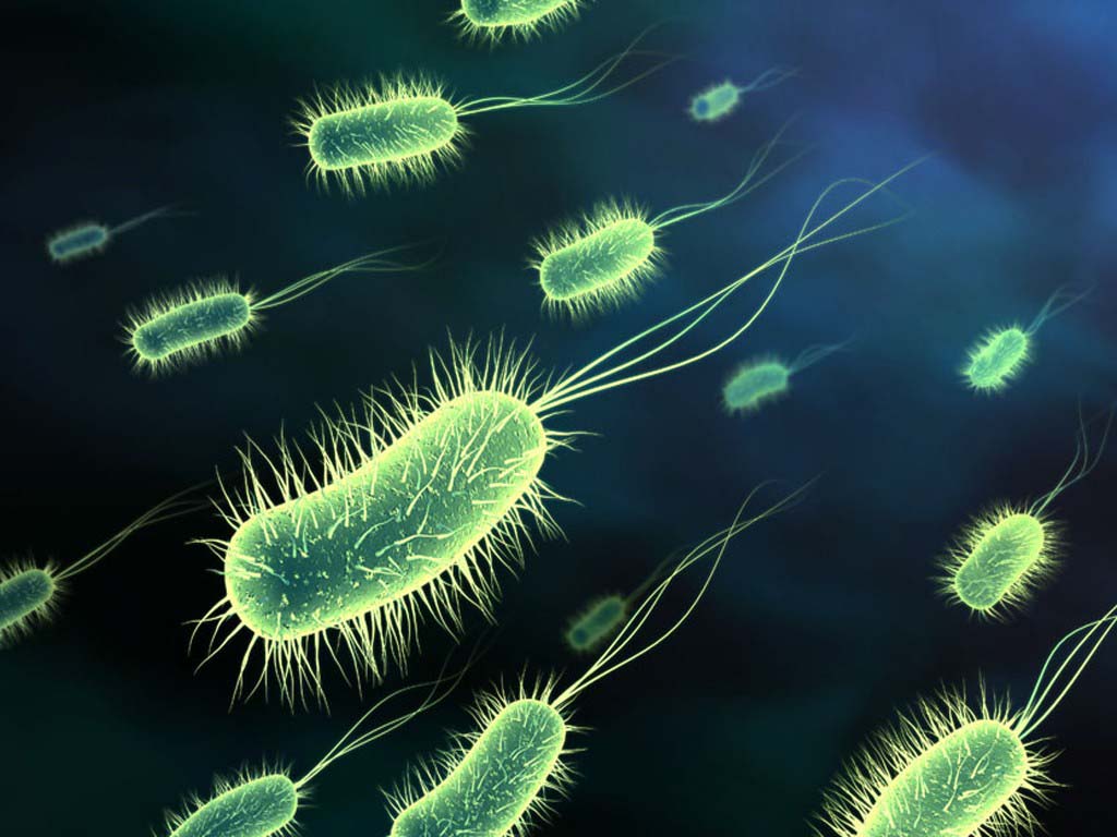 Millions were in germ war tests
