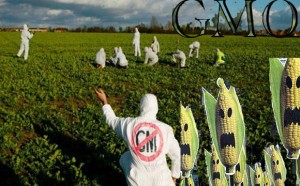 Genetic-Engineering-and-the-GMO-Industry-Corporate-Hijacking-of-Food-and-Agriculture