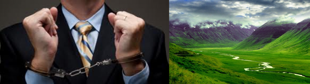 Iceland Was Right, We Were Wrong: The IMF