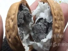 Chinese Fraudsters Are Reportedly Selling Walnuts Filled With Cement