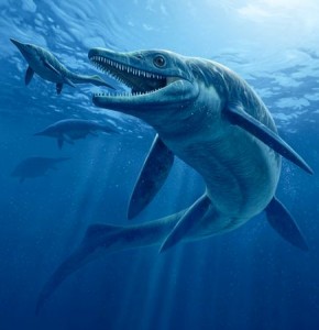 ichthyosaurus-sea-monster-secrets-revealed_62934_600x450